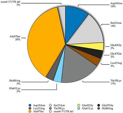 Clinical Profile and Prognosis of Hereditary Transthyretin Amyloid Cardiomyopathy: A Single-Center Study in South China